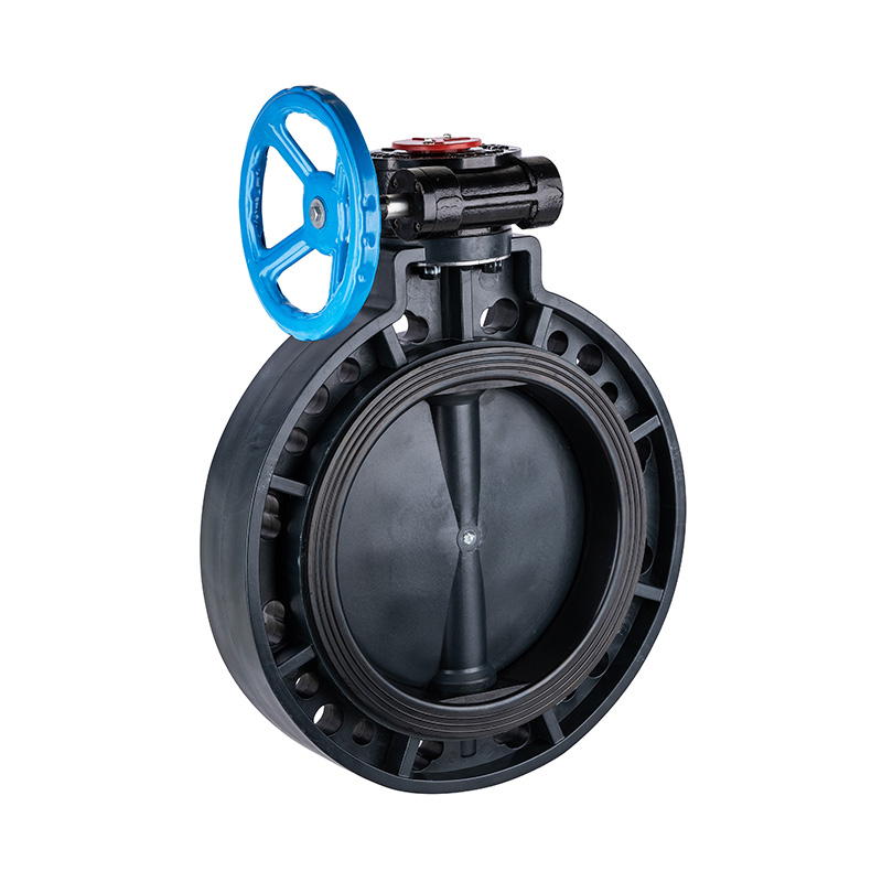 FRPP D371X-10S Worm-Gear Butterfly Valve DN40-1000 1-1/2'-30' ANSI Standard