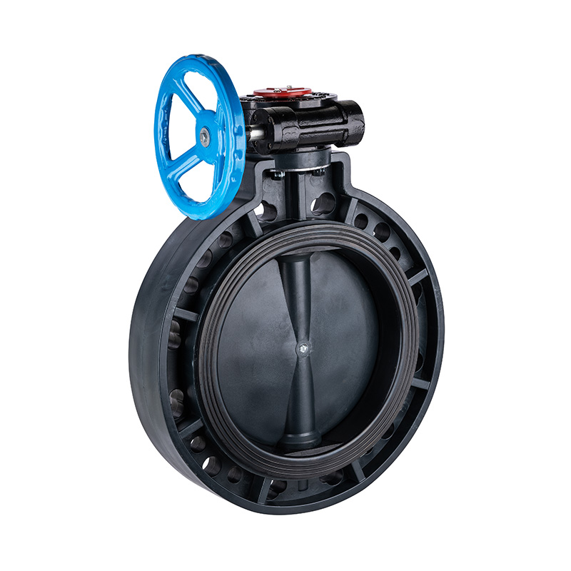 FRPP D371X-10S Worm-Gear Butterfly Valve DN40-1000 40A-1000A JIS Standard
