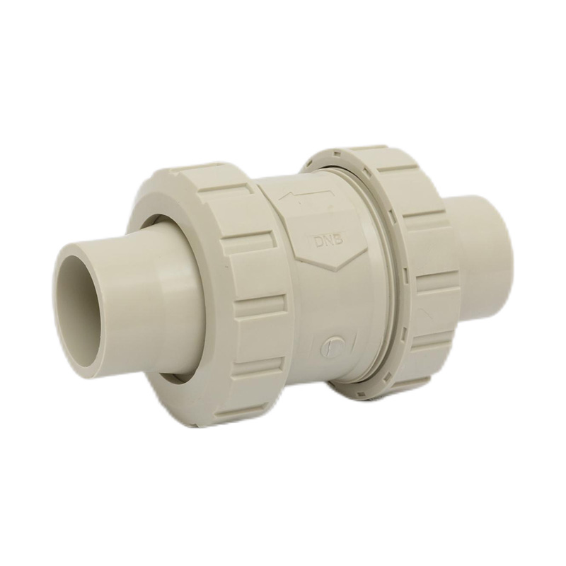 PPH H61F-10S Hot Melt Welding Check Valve DN50 GB Standard