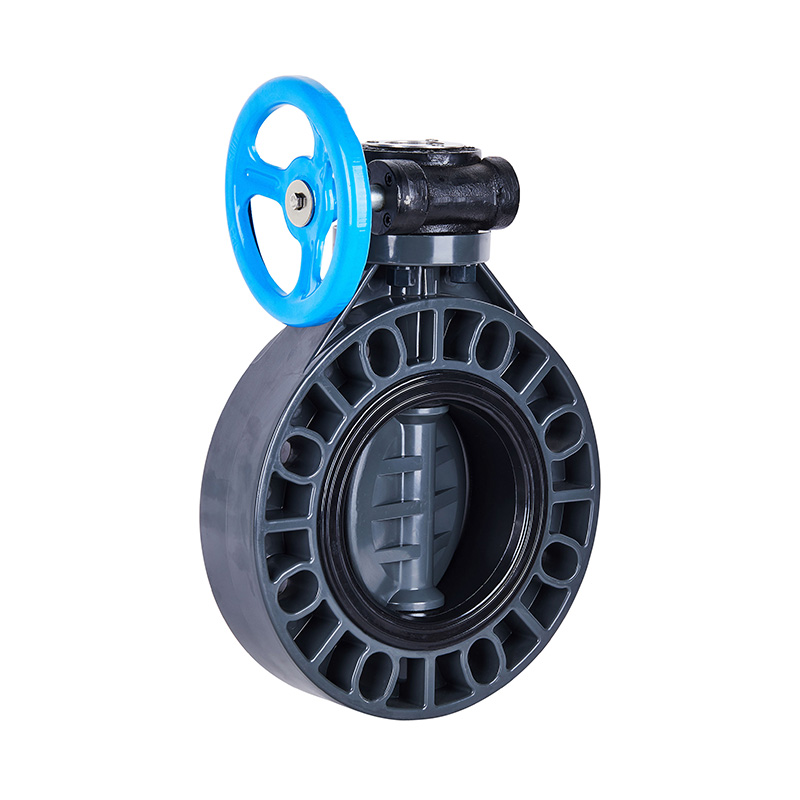FRPP D371X-10S Worm-Gear Butterfly Valve DN40-1000 1-1/2'-30' ANSI Standard