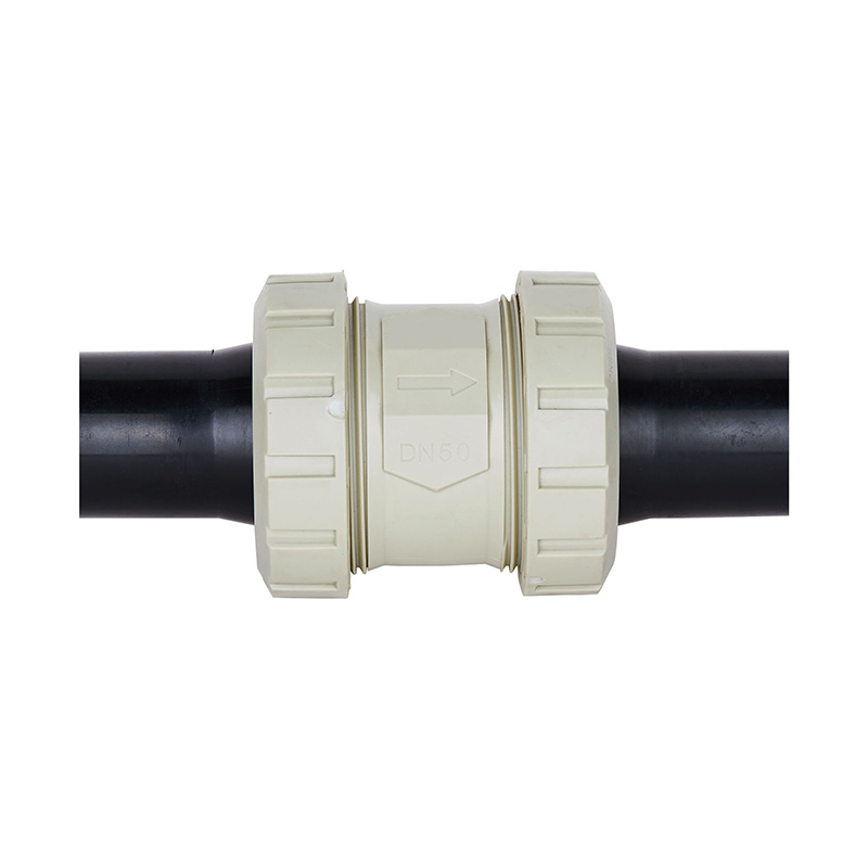 PPH H61F-10S PE Butt Welded Check Valve DN50 GB Standard