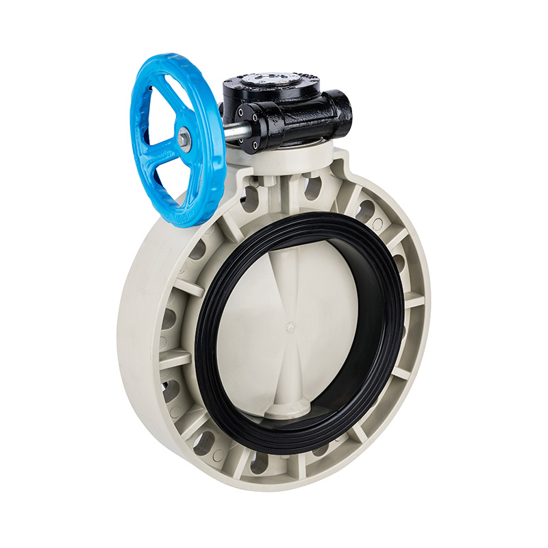 PPH D371X-10S Worm-Gear Butterfly Valve DN32-1000 GB Standard