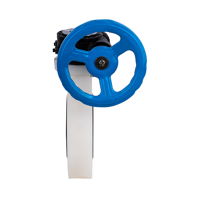 PVDF D371X-10F Worm-Gear Butterfly Valve DN32-1000 GB Standard
