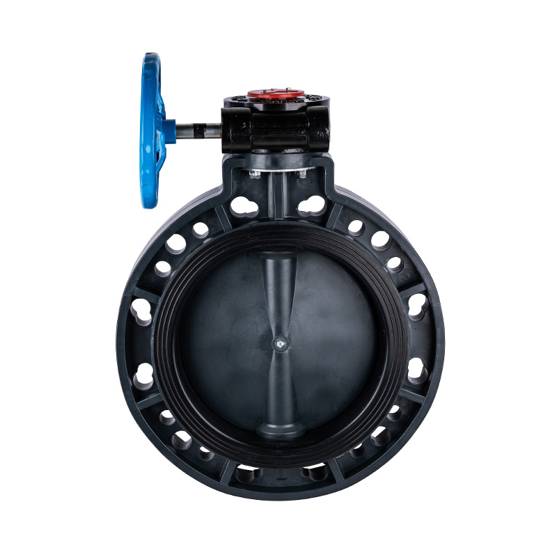 FRPP D371X-10S Worm-Gear Butterfly Valve DN40-1000 40A-1000A JIS Standard