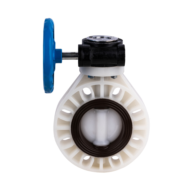 PVDF D371X-10F Worm-Gear Butterfly Valve DN32-1000 GB Standard