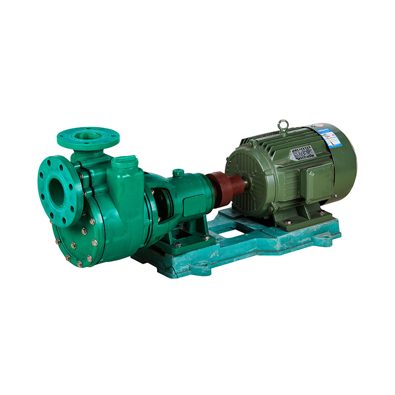 FPZ Shaft-Coupled Self-Priming Pump GB Standard